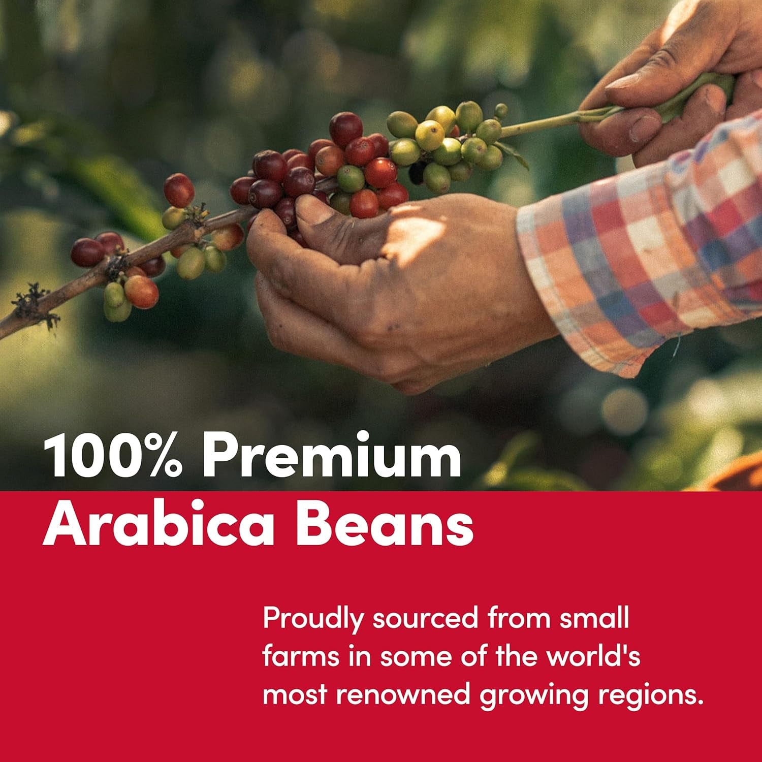 Indulge in Tim Hortons Whole Bean Original Medium Roast Coffee - 100% Arabica, 12 Ounce Bag for the Perfect Brew