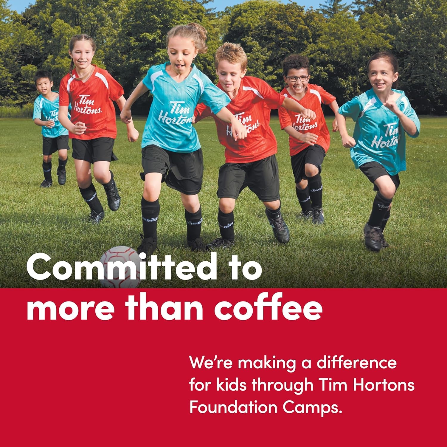 Indulge in Tim Hortons Whole Bean Original Medium Roast Coffee - 100% Arabica, 12 Ounce Bag for the Perfect Brew