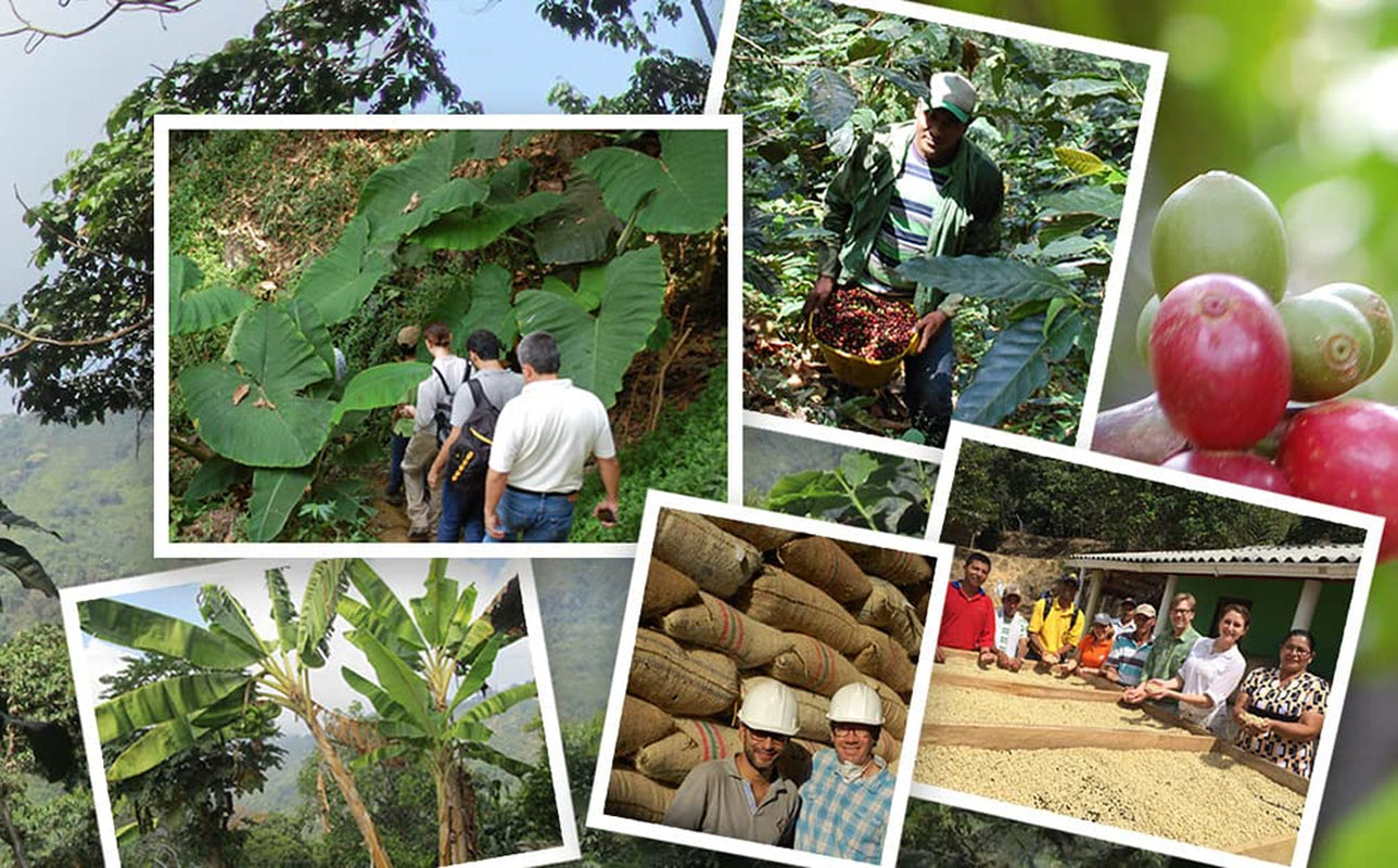 Discover Jim's Organic Colombian Coffee – Premium Medium Roast Whole Beans in a 12 Oz Bag